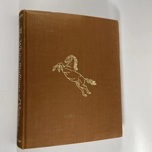 Die weißen Hengste von Wien - Alois Podhajsky (HB 1964) illustriert - Bild 1 von 12