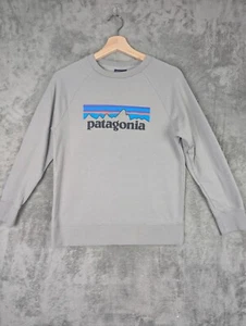 Patagonia Sweatshirt Youth Large Grey Pullover Crew Neck Logo Graphic Front - Picture 1 of 7