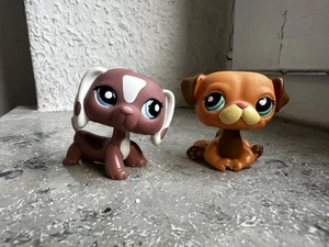 Littlest Pet Shop Dachshund #1631 With 1631 - Bild 1 von 5