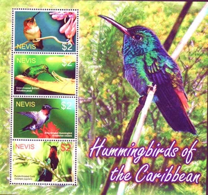 Nevis MNH SS, Humming Birds, Rufos, Green Crowned, Ruby Purple throated - Picture 1 of 1