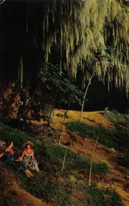 FERN GROTTO Kauai, Hawaii Wailua River 1964 Chrom Vintage Postkarte - Bild 1 von 2