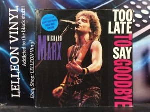 Richard Marx Too Late To Say Goodbye Ltd Ed 12" Single Vinyl 12MT80 Pop 80's - Picture 1 of 6