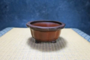 Genuine Japanese Bonsai pot "Hokido" from Tokoname. - Picture 1 of 16