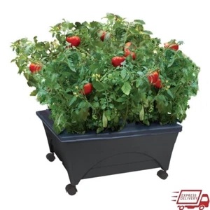 Mobile Raised Bed Grow Box Self Watering Planter W/ Casters Aeration System New - Picture 1 of 5