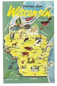 Greetings from WISCONSIN Map Cities Animals Sports Places to Visit Postcard - Picture 1 of 1