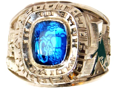 HJ 10K Solid Gold HS Class Ring~15.4g Herff Jones Large Heavy Signet Band~Scrap - Image 1 of 4