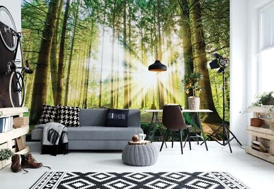 Papel Pintado Bosque Verde 312x219 cm Mural Pared Comedor Salón Foto 1 de 4