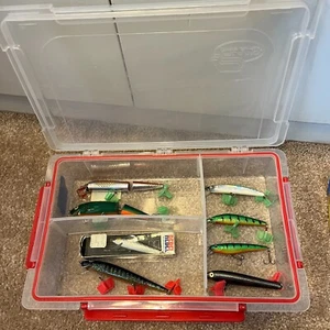 Berkley Frenzy Firestick FS9-S Rattle Crankbaits 8er Set Rebel Jointed im Koffer - Bild 1 von 10