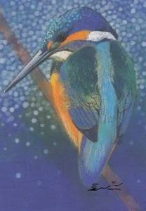 Kunstkarte: Loes Botman - Eisvogel - Bild 1 von 1