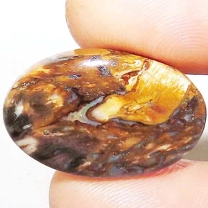 27.70CT Natural Petrified Palm Wood Agate OVAL Cabochon Loose Gemstone 20X30X5mm - Picture 1 of 9