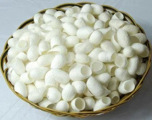 SILK WORM FACE CLEANING WHITENING , FACE CARE 100% NATURAL - FREE UK POST - Picture 1 of 3