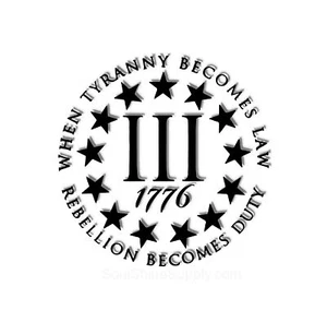 Patriotic Decal Sticker - Waterproof Vinyl - 1776 2nd Amendment - Picture 1 of 3