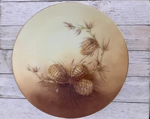 Rare P.T. Bavaria Hand Painted Plate - Tirschenreuth Pine Cones Collector Plate - Picture 1 of 5