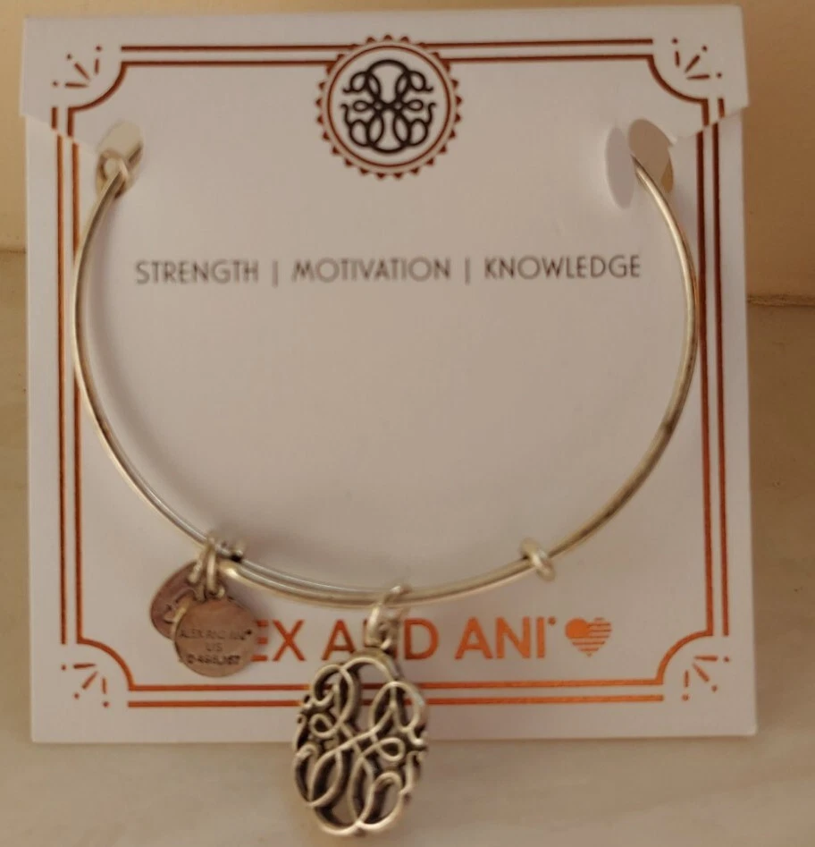Alex and Ani A17EB29RS Path of Life IV Rafaelian Silver Charm Bracelet (uuu)