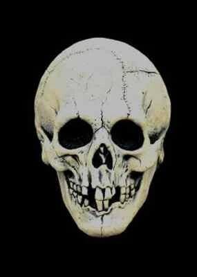 Nightowl Skull Mask Skeleton Bones Halloween Adult Costume Accessory 2 COLORS - Image 1 of 2