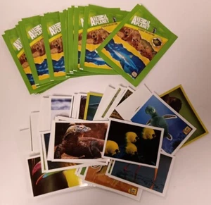* Colección de pegatinas Animal Planet 2014 ~ 20 paquetes + 75 pegatinas individuales * AUC - Imagen 1 de 3