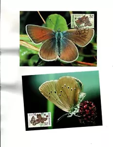 Czechia WWF set of 4 MAXI CARDS FDC Sc#3175 Butterflies - Picture 1 of 2