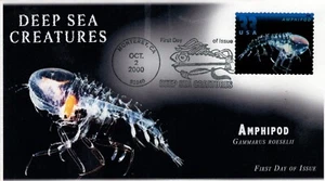 AO 3442-2, 2000, Deep Sea Creatures, First Day Cover, Add-on Cachet, - Picture 1 of 1