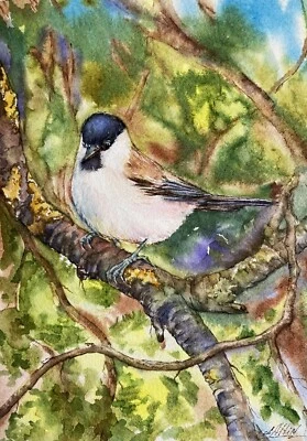 Acuarela Árbol Garbanzo Tapa Negro Pájaro Pintura Original Foto 1 de 2