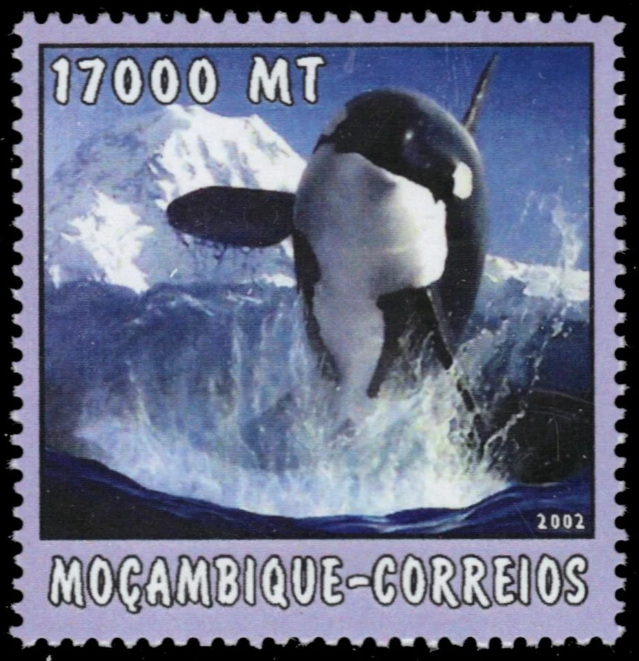 MOZAMBIQUE 1651e - Killer Whale "Orcinus orca" (pb48644) - Image 1 of 1