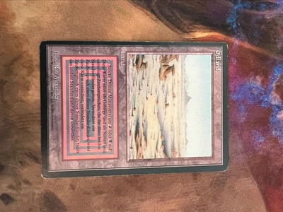 Badlands - German - MP - Foreign Black Border FBB - MTG - Image 1 of 2