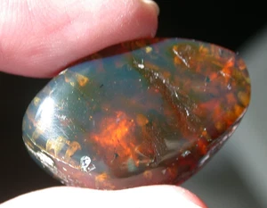 Hermoso fósil de ámbar birmano azul con conchas marinas bivalvas de la era de los dinosaurios - Imagen 1 de 12