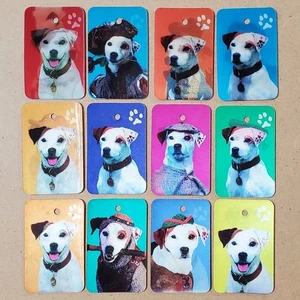 Etiquetas lenticulares para perros Wishbone 1996 (juego completo de 12) premios Cracker Jack - Imagen 1 de 2