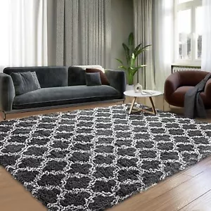 Plush Area Rug 4x6 Feet High Pile Rugs for Living Room, Ultra Soft Indoor Carpet - Picture 1 of 8