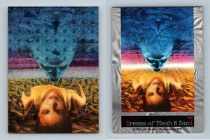 Dreams Of Flesh & Sand - J.K Potter 1995 FPG Metallic Trading Card - Picture 1 of 1