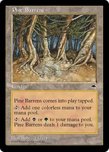 PINE BARRENS Tempest MTG Land RARE - Picture 1 of 1