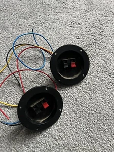 Cross Over And Speaker Terminals Wharfedale ? Project Speaker Build 2 Way - Picture 1 of 2