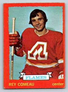 1973-74 O-Pee-Chee #29 Rey Comeau (ref 174190)