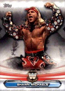 Shawn Michaels 2019 Topps WWE Raw Legends Of Raw #LR-16 - Bild 1 von 1