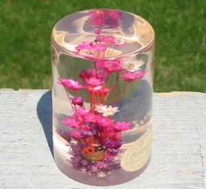 Vtg Daisyglas Lucite Dried Flower Daisy Acrylic Paperweight MCM Ladybug Groovy - Picture 1 of 8
