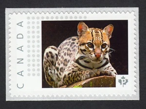 OCELOT CAT = DWARF LEOPARD = Picture Postage stamp MNH Canada 2015 [p15-07-ct2/2 - Picture 1 of 2