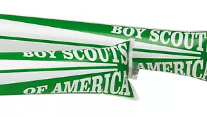 BOY SCOUT EMBLEM OFFICIAL LICENSED 1 PAIR SET NOISE STICKS GREEN WHITE BSA NEW - Picture 1 of 12