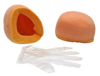 Air Filter  Wix  24236 - Image 1 of 2