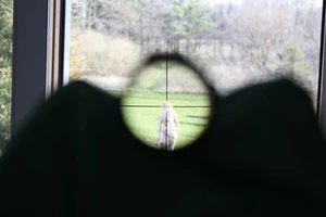 Simmons 2x20 EER Duplex Reticle Gloss Pistol Scope Japan Model No 1080 S1 - Picture 1 of 10
