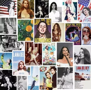 Vinyl Stickers Singer Lana Del Rey 25PCS Wall Laptop Music Adhesive Waterproof - Picture 1 of 4