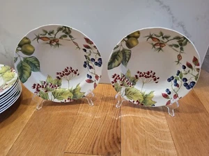 (2) Woodland Harvest by Spode Large 9" Rim Soup Bowl Williams Sonoma 2006 - Picture 1 of 7