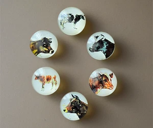 Cow Refrigerator Magnets - Set of 6 - Clear, Round and Strong w/ Rustic Artwork - Picture 1 of 4