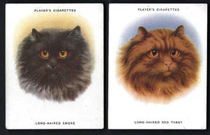PLAYER - CATS - 2 CARDS - Picture 1 of 2