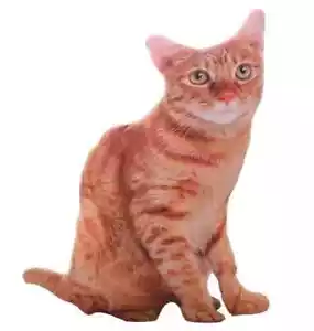 Orange Cat Print Pillow Plush Toy 19" Stuffed Animal Toddler Doll Gift for Kids - Picture 1 of 3
