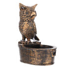  Indoor Waterfall Owl Flowing Houseplants Crafts