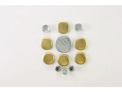 Kit de enchufe de expansión 69234GQMC 1980 1981 1982 para Cadillac Fleetwood 1979-1986 Foto 1 de 2