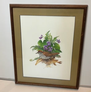 Vintage 70s Framed Roger Tory Peterson Wood Thrush Bird Ornithology Print 16x13 - Picture 1 of 9