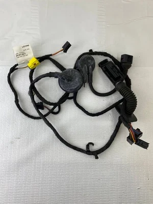 Arnés de cableado puerta izquierda conductor delantero audi q5 8r 2009 2010 8r0 971 029 k Foto 1 de 4