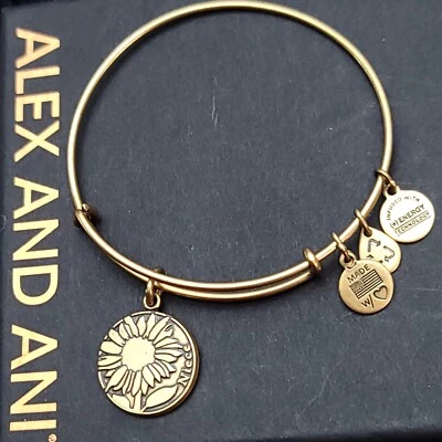 Pulseira Berloque de Sobrinha Alex And Ani - Imagem 1 de 4