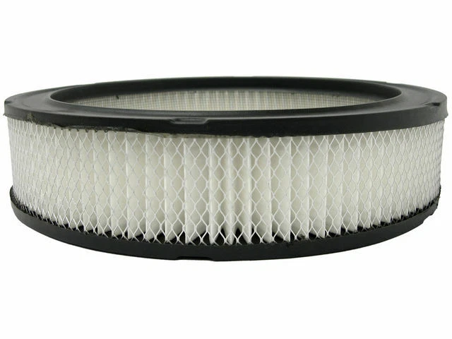 AC Delco 15RR89Z Air Filter Fits 1965-1970 Pontiac Tempest Gold -- New Gold - Image 1 of 1