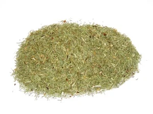Schachtelhalmkraut Zinnkraut Tee 1 kg Vorratspack g1 Tee-Meyer - Bild 1 von 1